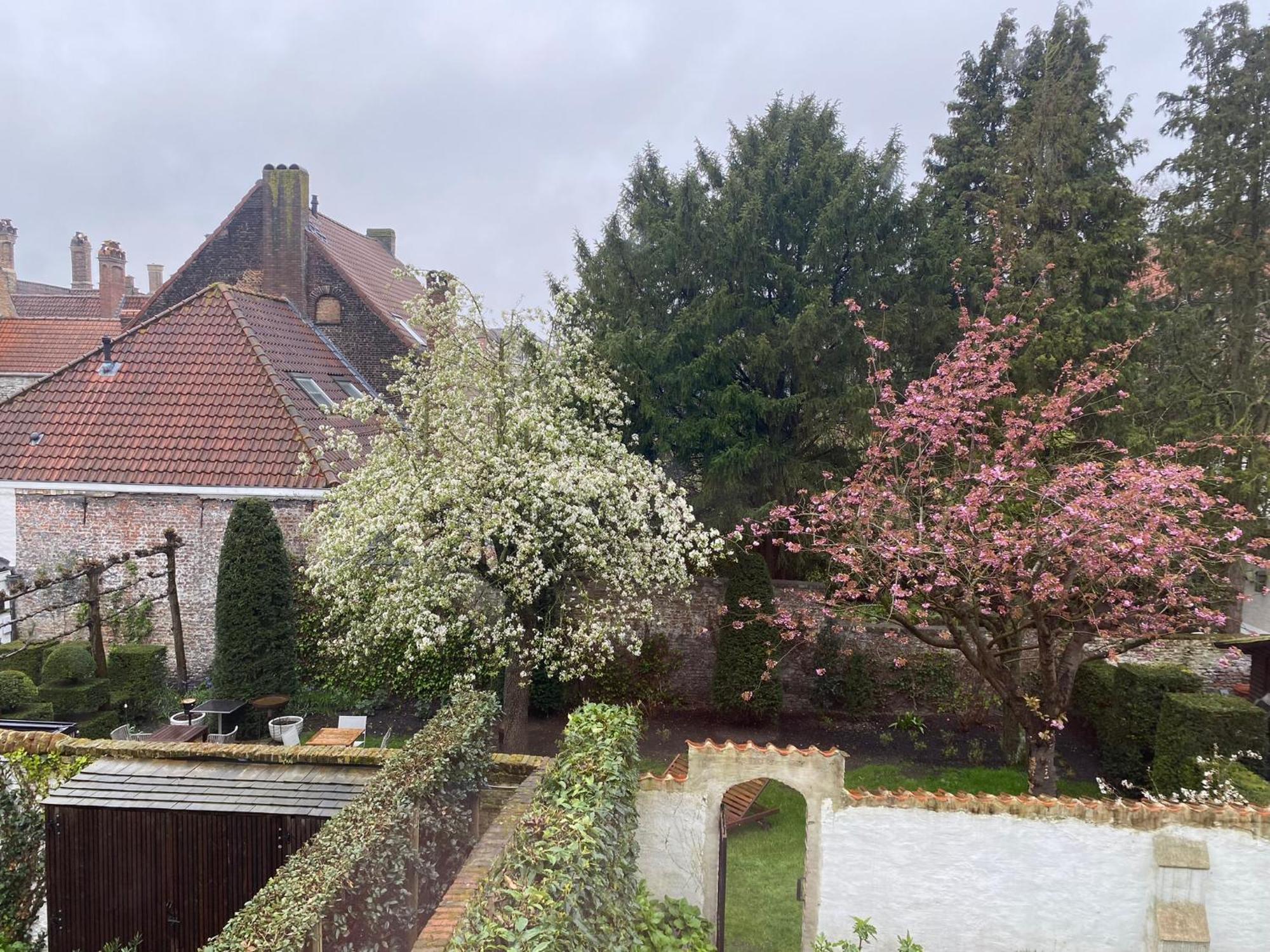 Residence9Brugge Dış mekan fotoğraf